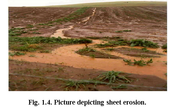 Soil & Water Conservation Structures: Lesson 1. Soil Erosion